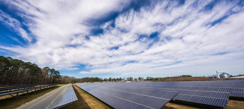 pexels-nc-farm-bureau-mark-15751120 (1)